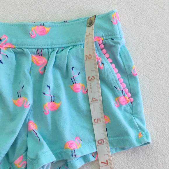 🦩Blue and Pink Flamingo Shorts with Pink Pom-pom Trim by OshKosh B'Gosh 🦩 - Picture 8 of 11